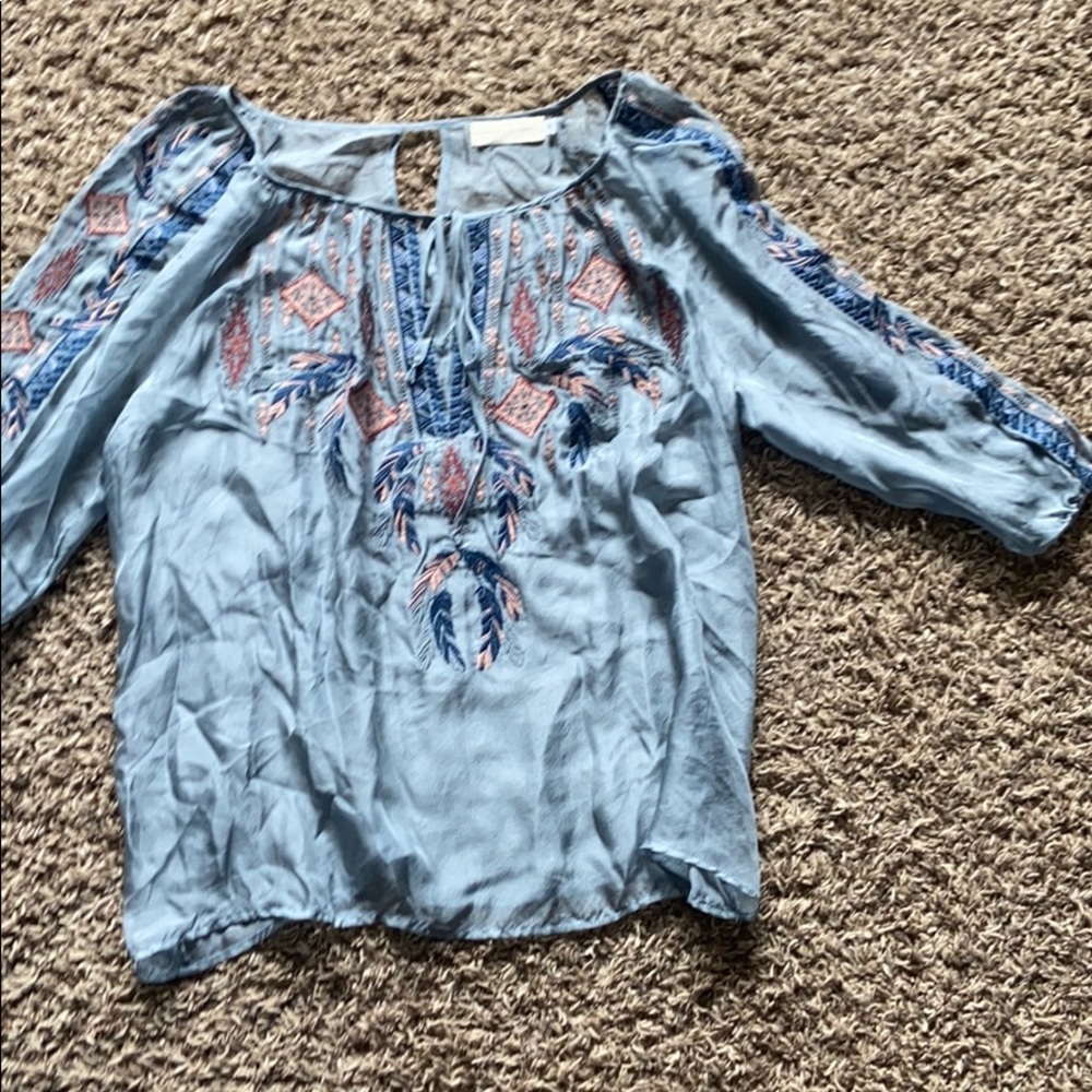 Sheer blue embroidered top